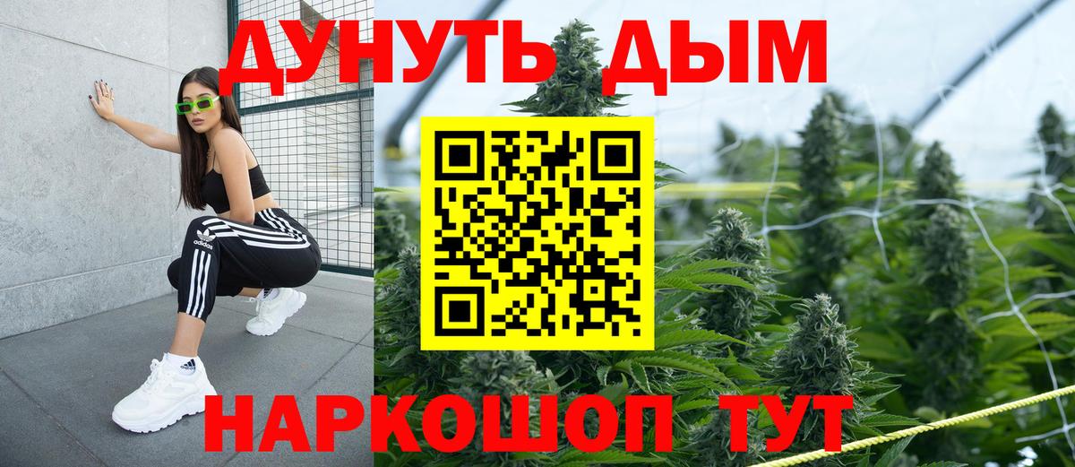 МАРИХУАНА VHQ  Вход с VPN  Благодарный  МАРИХУАНА SATIVA & INDICA  Каннабис план 